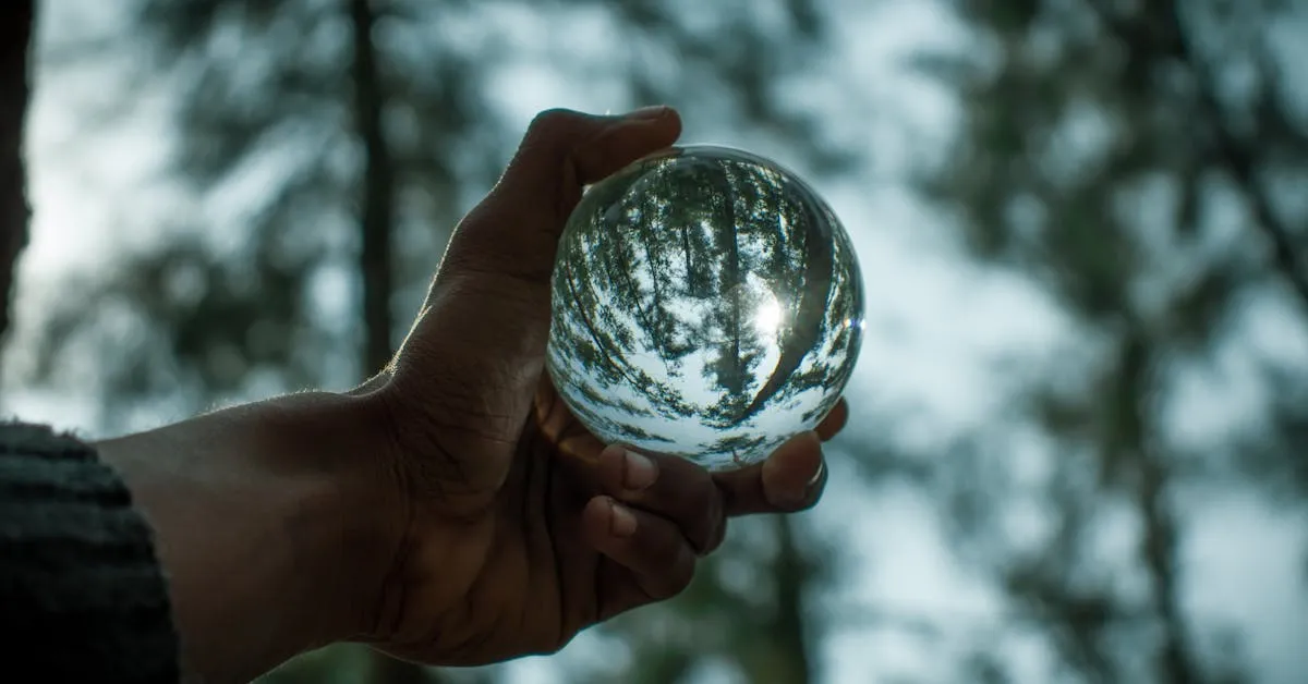 A man holding a crystal ball into the sky and it's refracting the image of the forest in his hands. It makes you wonder about how illusions cause you to consider what truth is and where to find it. Learn more in this article.