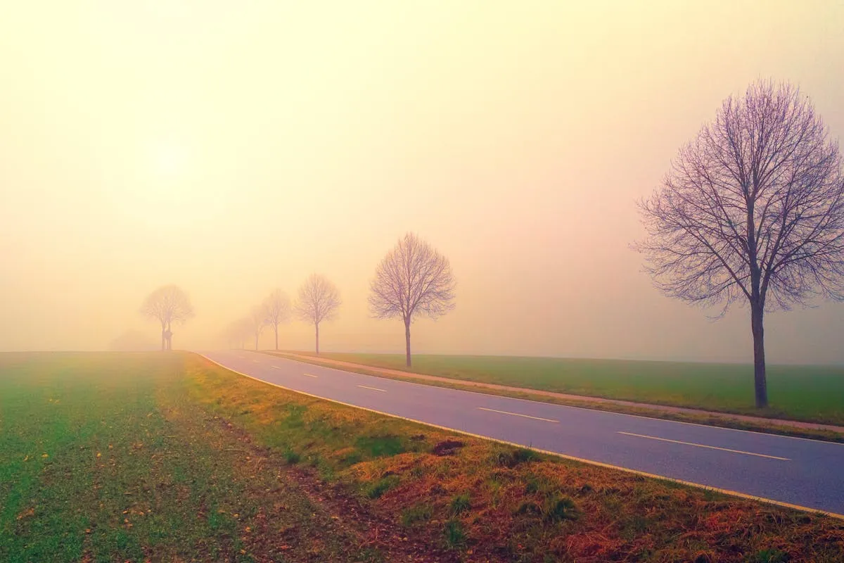 The sun rising through the fog on a fresh autumn morning. There is a road that leads right into the illuminated fog. It's similar to following Jesus, we can't see where the road is going but we can trust that He will lead us to the best path ahead. Learn more about following Jesus in this latest article.