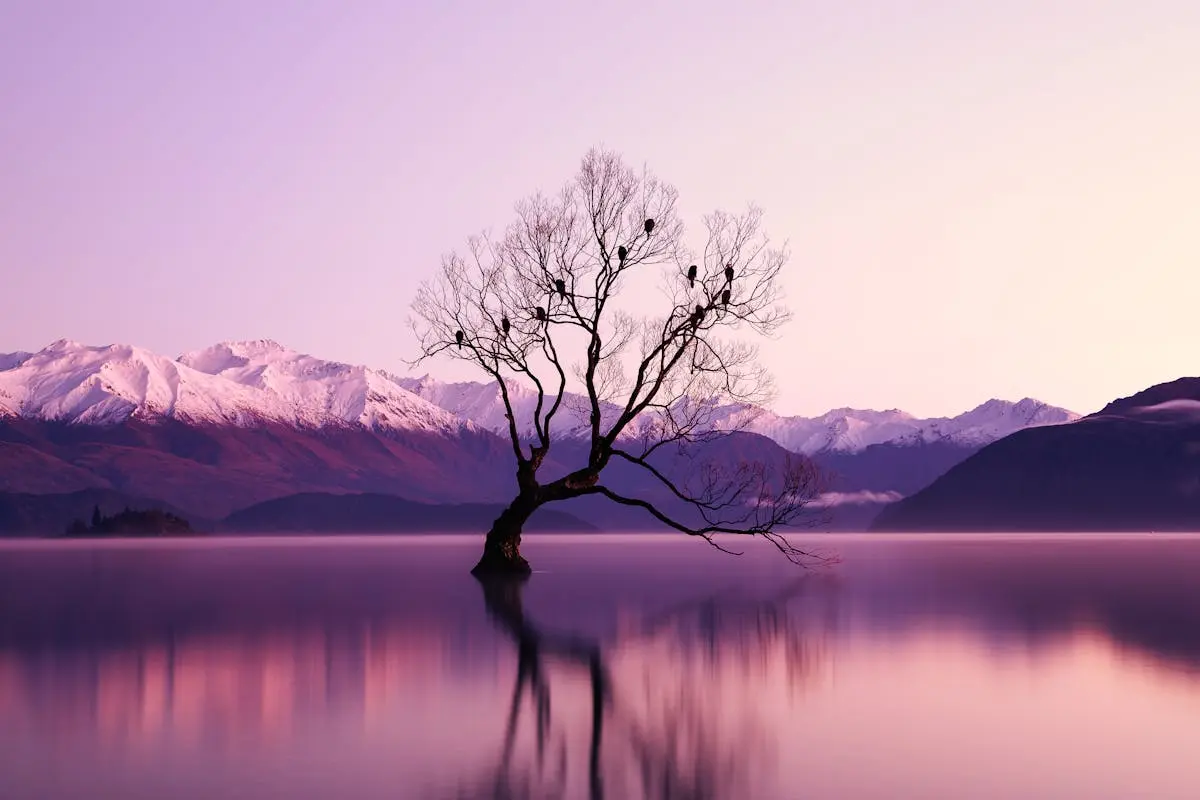 A beautiful old tree in the middle of the lake. There are mountains in the background during a cool autumn morning. The tree in this illustration resembles the steadfastness of something that cannot be broken. Learn more in our recent article.