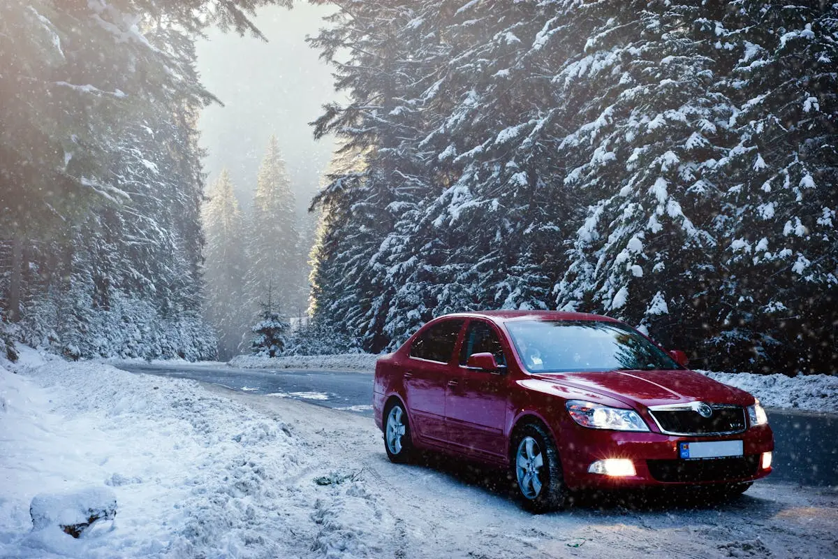 A red European sedan on a snowy day. The background is filled with huge pine trees covered with snow. And the sun is peaking through the background. If you are a car or truck owner you should consider keeping your vehicle in great condition with an extended warranty. Learn more about them in this recent article.