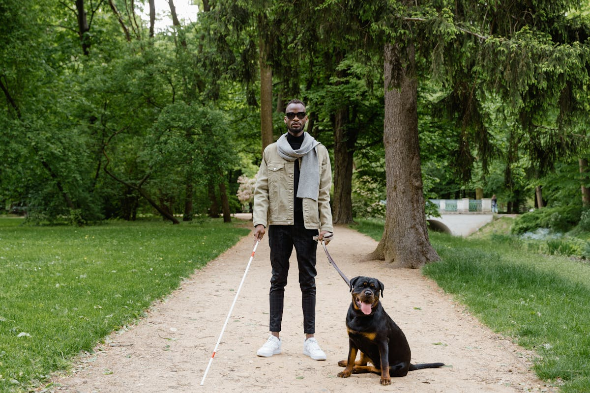 A blind man standing in a park with his dog. He is holding a white cane and is dressed very nice. Learn how God gives sight to the blind.